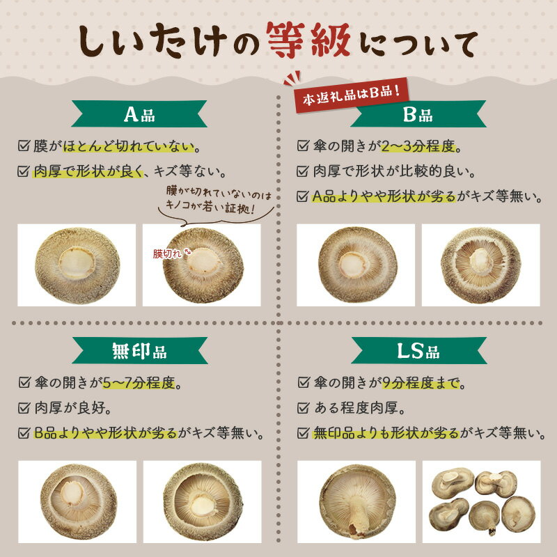 【ふるさと納税】しいたけ B品 6L（約150g）×20パック - 画像3