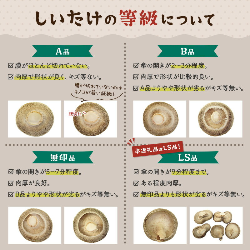 【ふるさと納税】しいたけ 無印品 LS（約100g）×30パック - 画像3