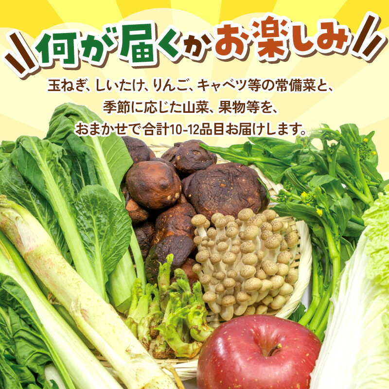 【ふるさと納税】和泉青果六代目が選ぶ 秋田の季節野菜おまかせセット 10〜12品目 - 画像2