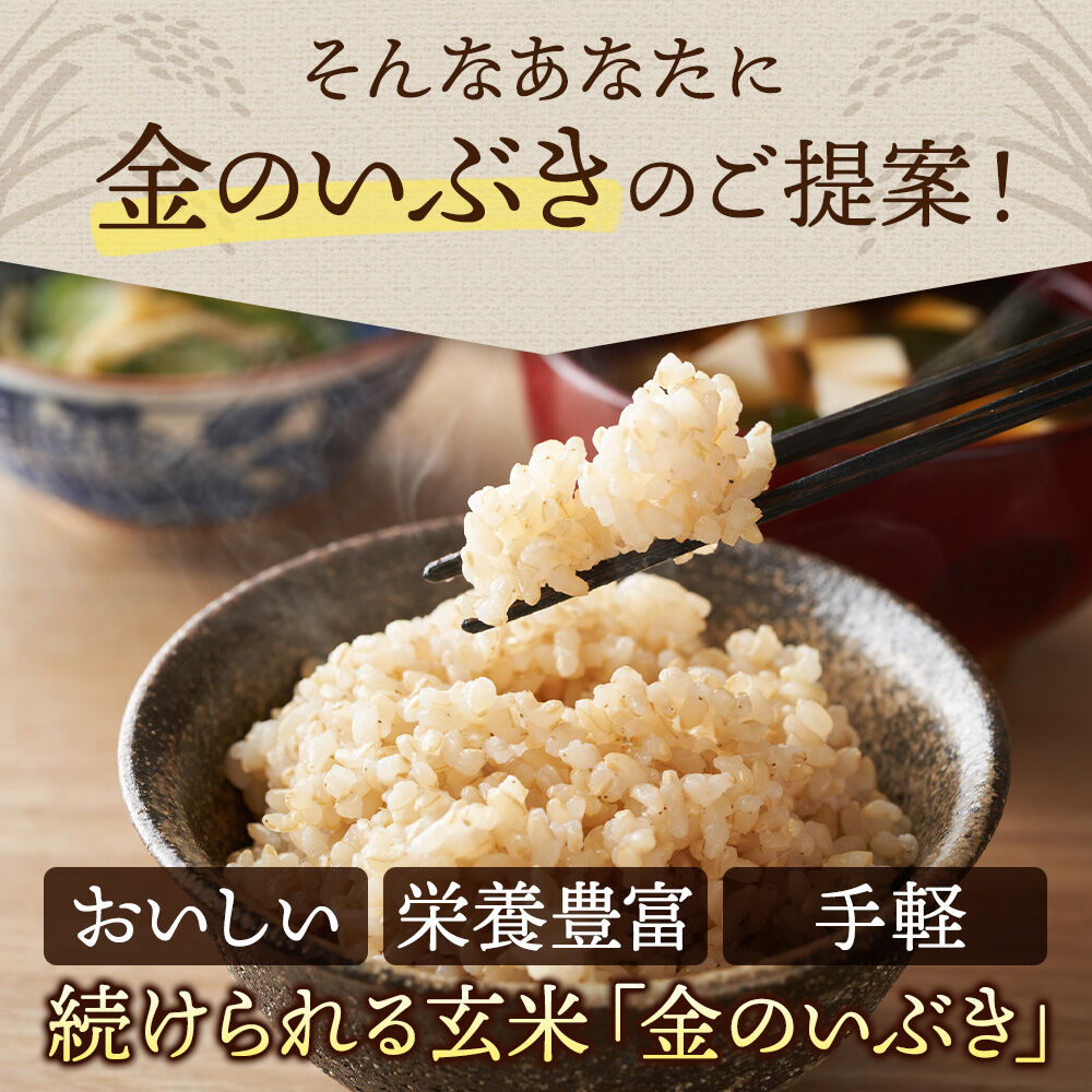 【ふるさと納税】【玄米】令和7年産 金のいぶき 10kg（2kg×5袋） [秋田県産 金のいぶき 玄米 プレミアム玄米 10キロ] - 画像3