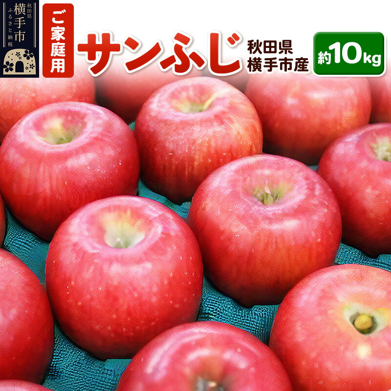 12月上旬より発送 秋田県横手産 りんご サンふじ ご家庭用 約10kg