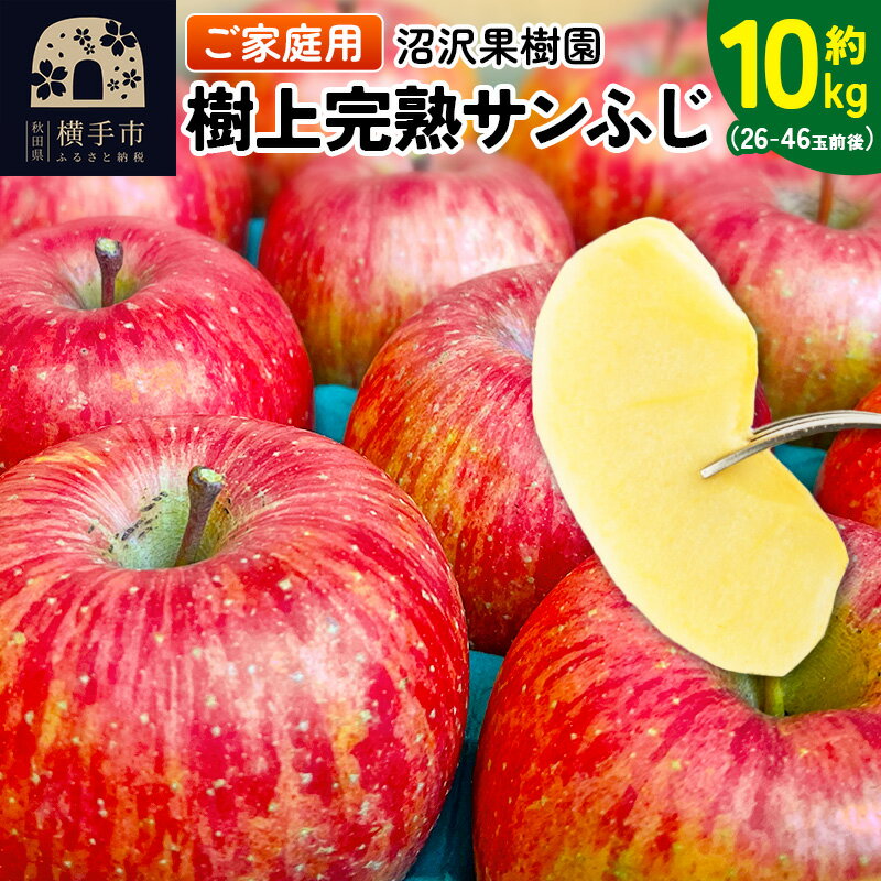 樹上完熟サンふじ ご家庭用 約10kg（26〜46玉前後）