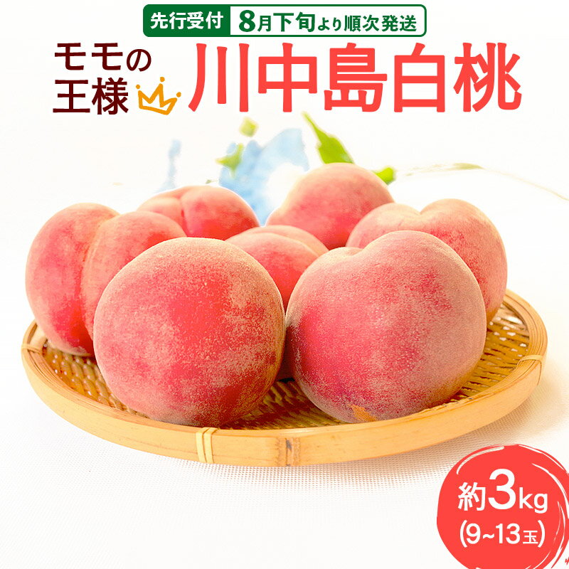 《先行受付！8月下旬より順次発送》モモの王様 川中島白桃 約3kg（9〜13玉前後）