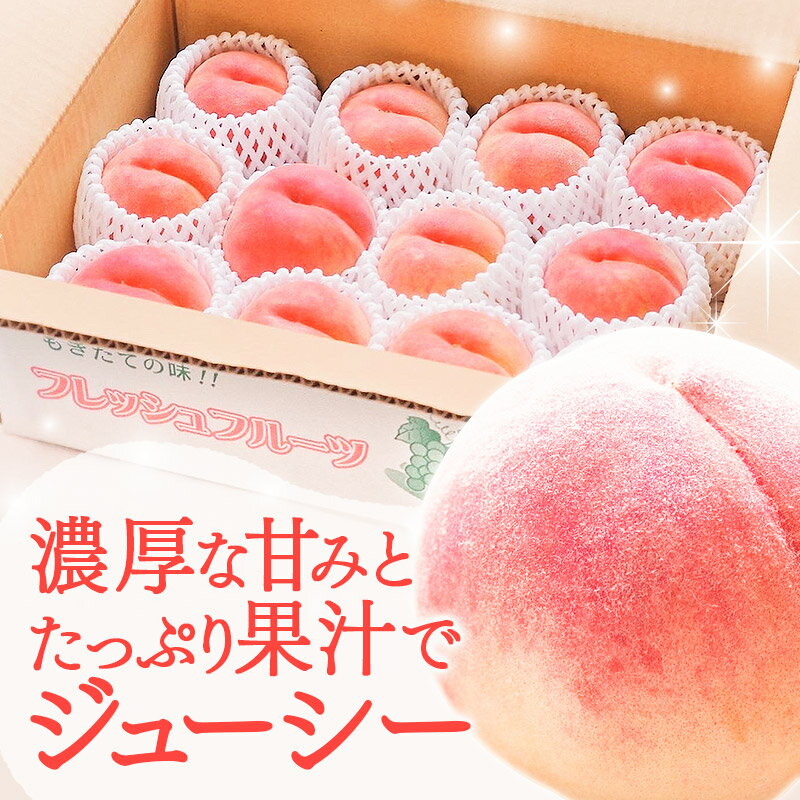 【ふるさと納税】《先行受付！8月下旬より順次発送》モモの王様 川中島白桃 約3kg（9〜13玉前後） - 画像2