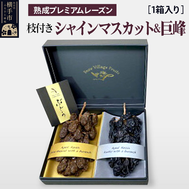 熟成プレミアムレーズン 枝付きプレミアムセット シャインマスカット＆巨峰