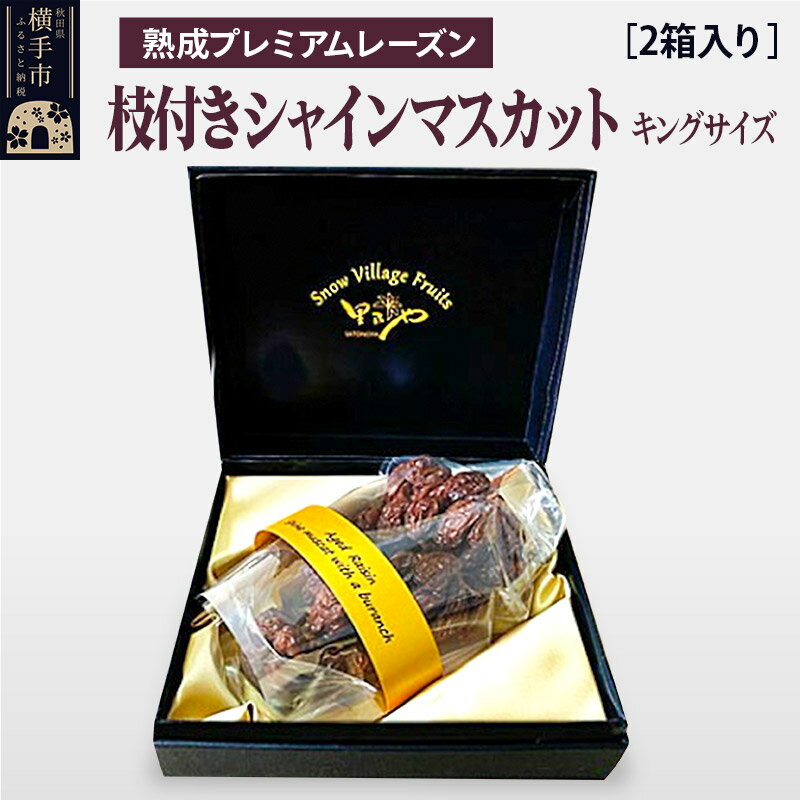 熟成プレミアムレーズン 枝付きシャインマスカット キングサイズ 2箱セット