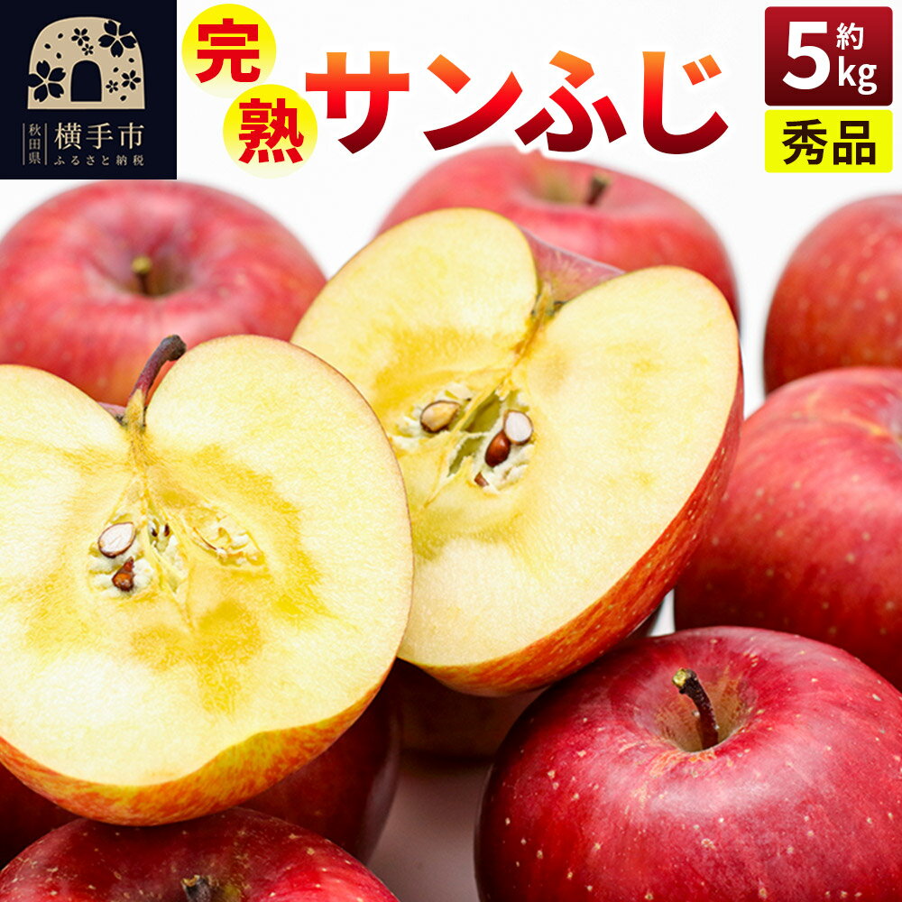 完熟サンふじ秀品 約5kg（16〜20個入）りんご