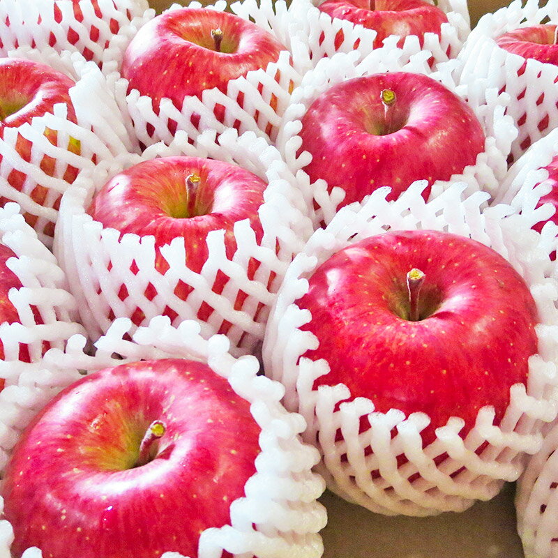 【ふるさと納税】完熟サンふじ秀品 約10kg（32〜40個入）りんご サムネイル2