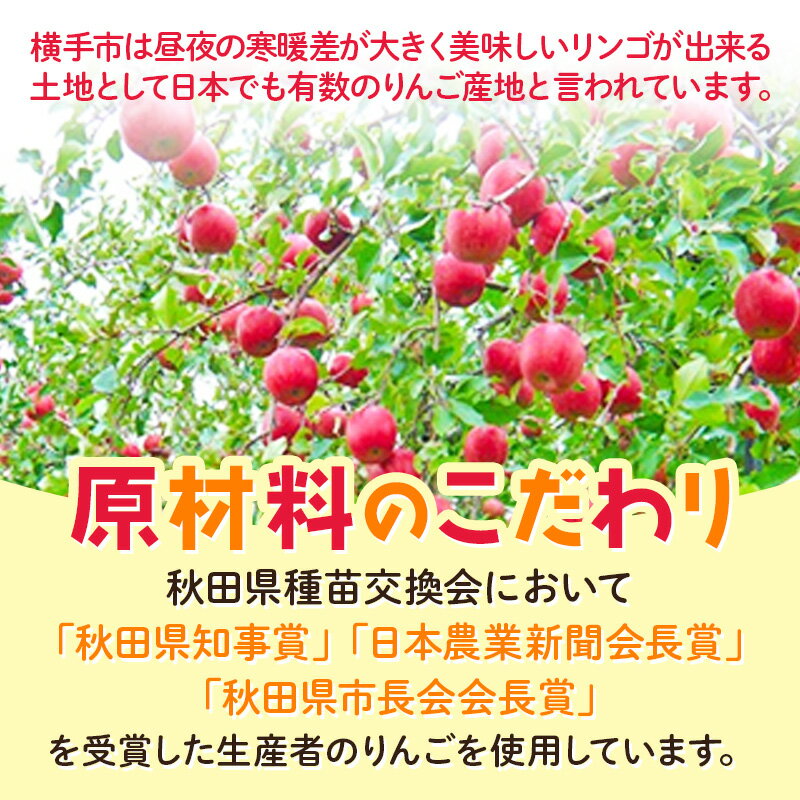 【ふるさと納税】セミドライりんご「太陽のフジミツ」100g×3袋 サムネイル2