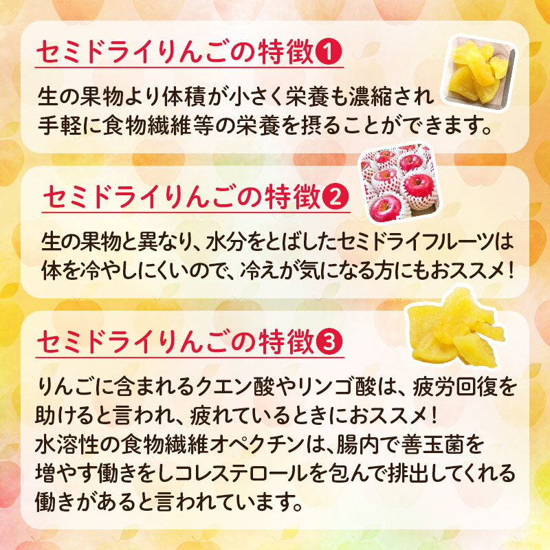 【ふるさと納税】セミドライりんご「太陽のフジミツ」100g×3袋 サムネイル3