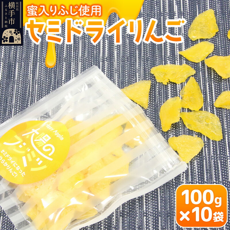 セミドライりんご「太陽のフジミツ」100g×10袋