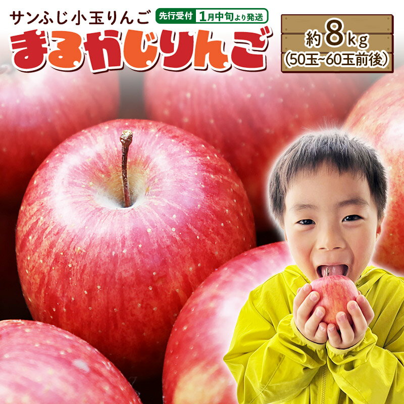 【先行受付】1月中旬より発送 【ご家庭用】サンふじ小玉りんご「まるかじりんご」約8kg（50玉〜60玉前後）