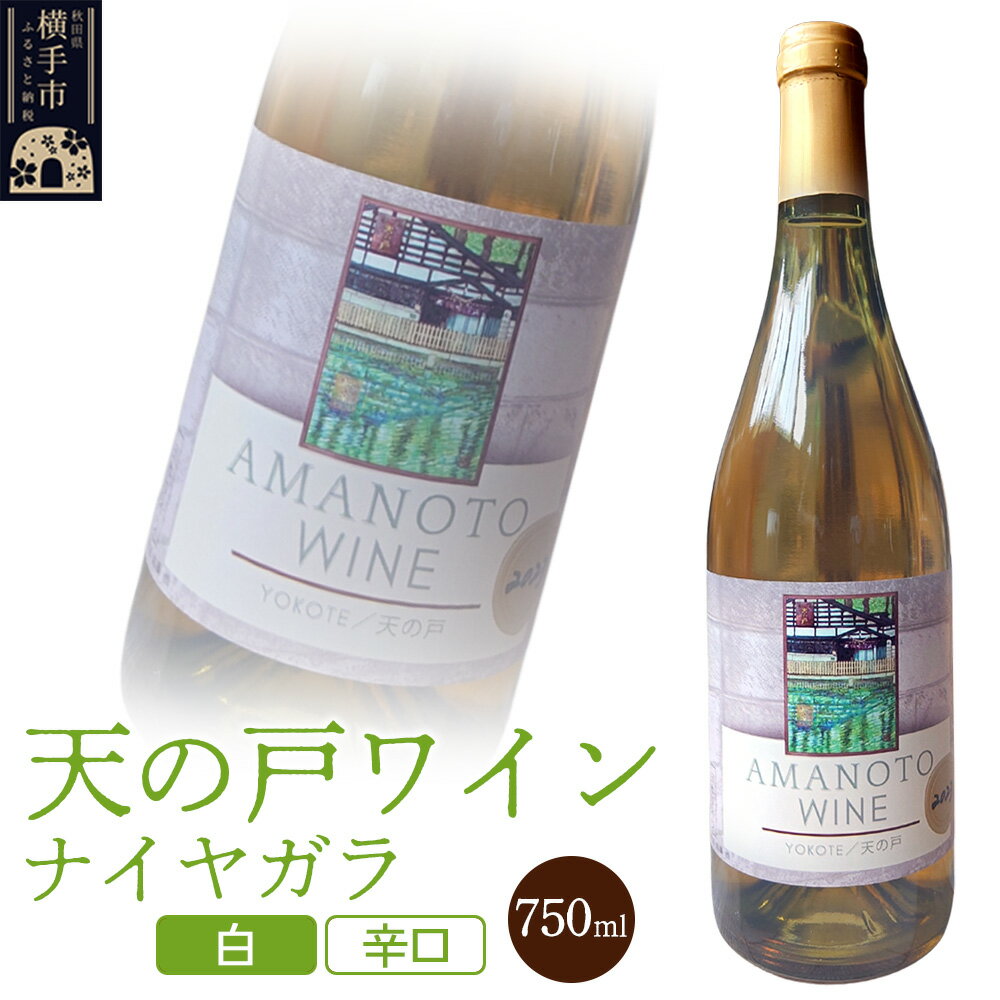 天の戸ワイン(ナイヤガラ）750ml