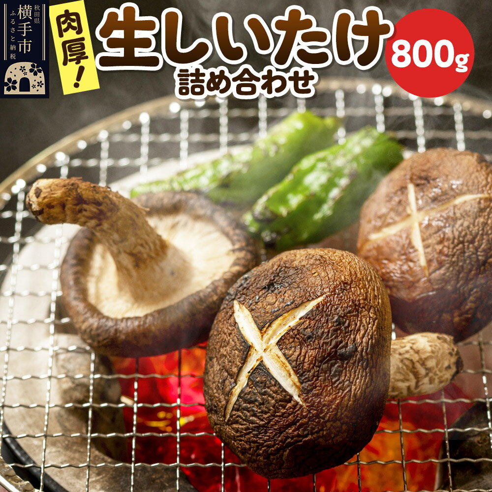 生しいたけ詰め合わせ 800g 秋田新鮮組