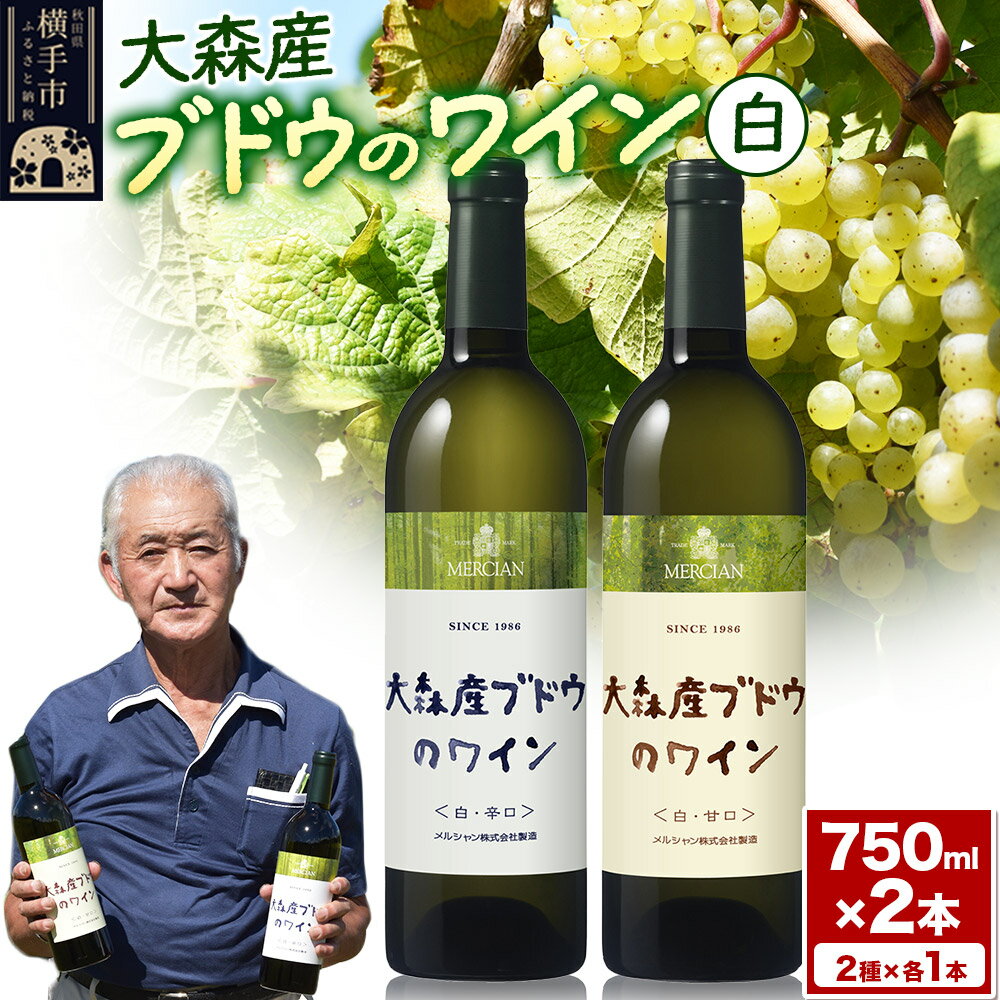 ＜お歳暮 冬ギフト＞大森産ワインの甘辛飲みくらべ 750ml×各1本 計2本