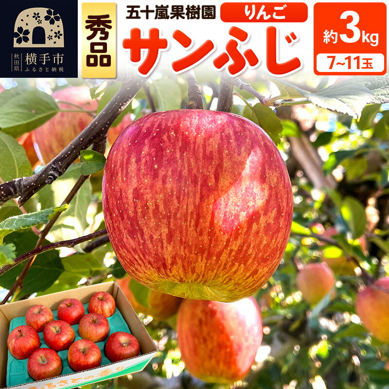 12月中旬より発送 サンふじ【秀品】約3kg（7〜11玉）りんご 林檎