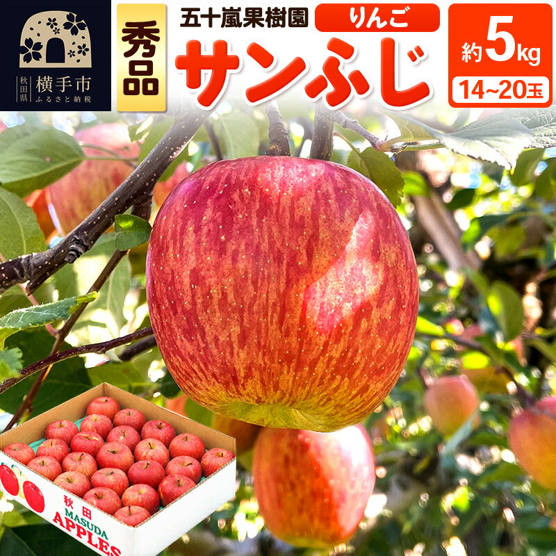 12月中旬より発送 サンふじ【秀品】約5kg（14〜20玉）りんご 林檎