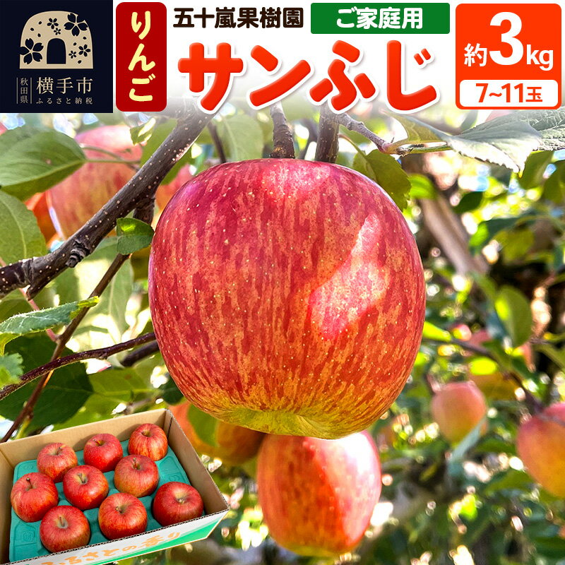 12月中旬より発送 サンふじ【ご家庭向け】約3kg（7〜11玉）りんご 林檎