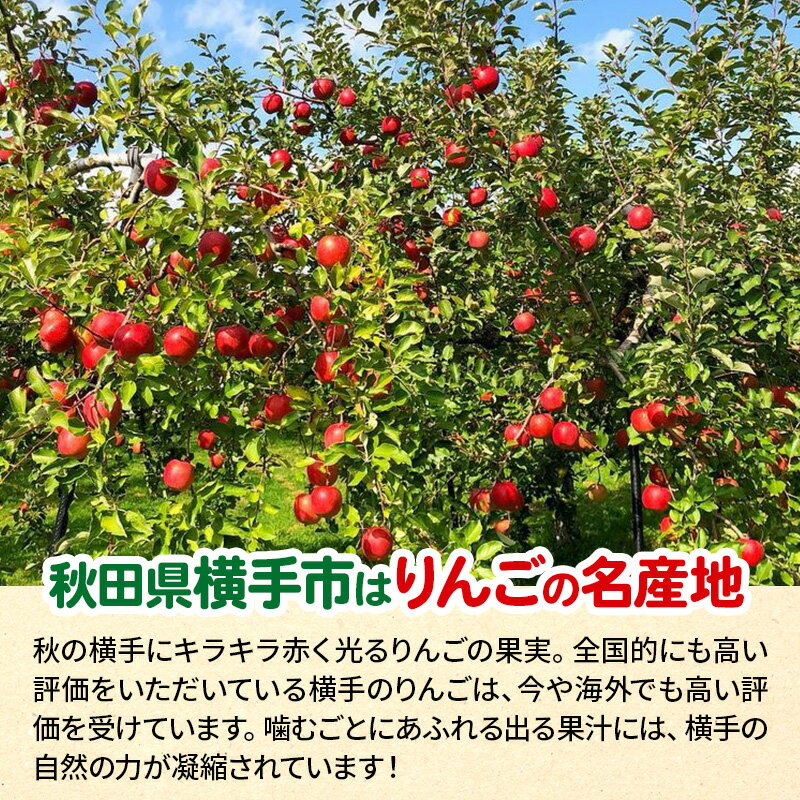 【ふるさと納税】12月中旬より発送 サンふじ【秀品】約3kg（7〜11玉）りんご 林檎 サムネイル2