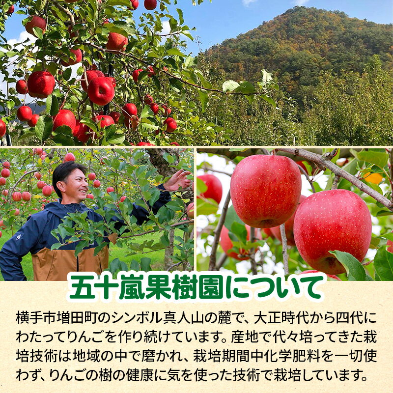 【ふるさと納税】12月中旬より発送 サンふじ【秀品】約3kg（7〜11玉）りんご 林檎 サムネイル3