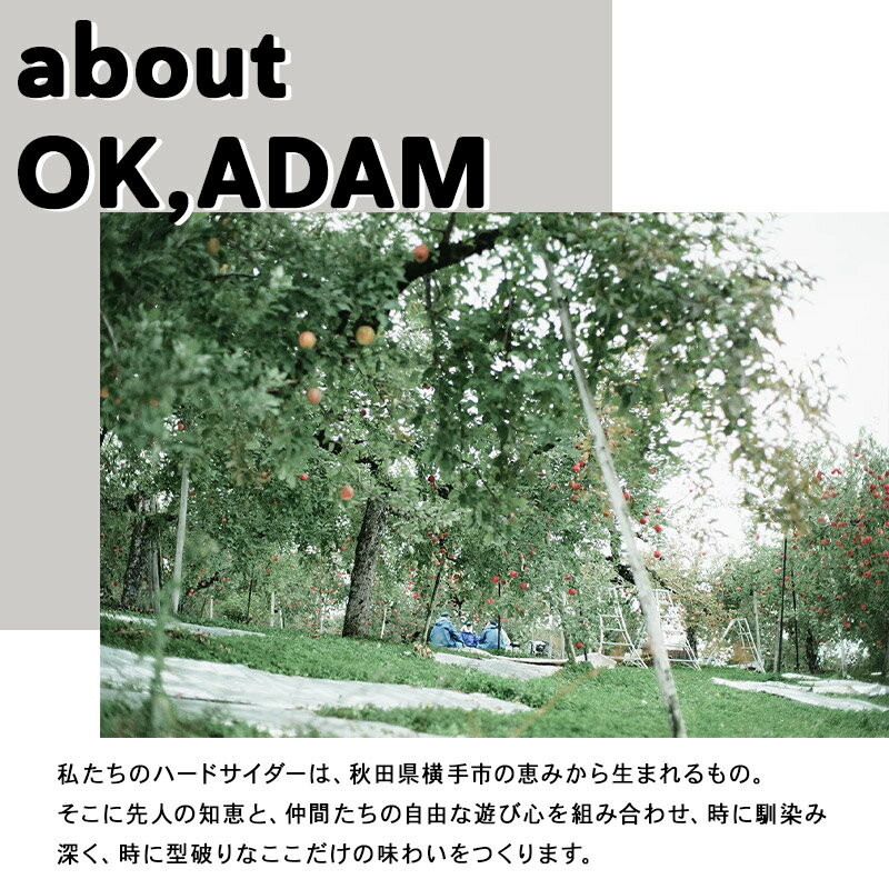 【ふるさと納税】OK,ADAM ハードサイダーHOP IN！ 3本セット サムネイル3