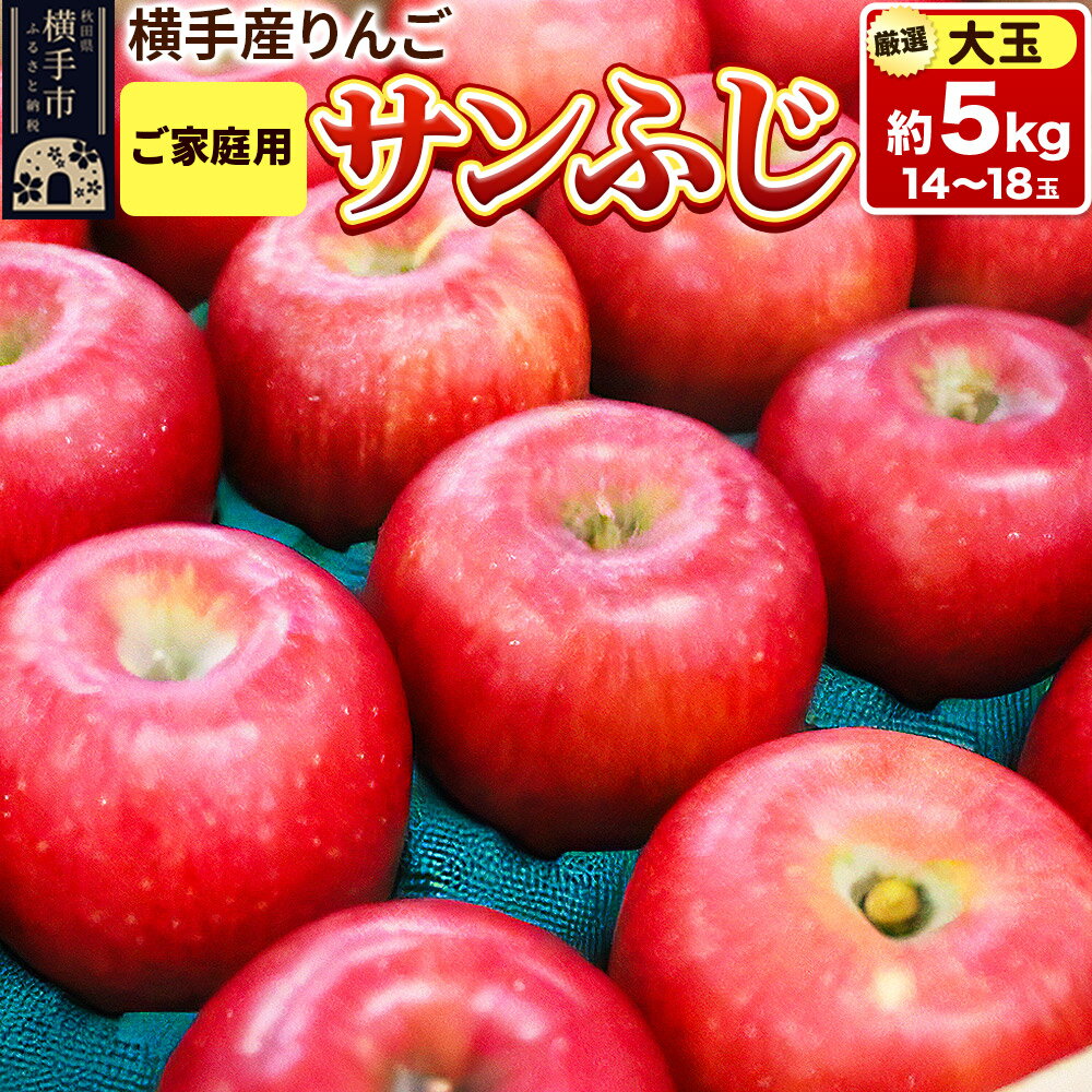 12月上旬より発送 横手市増田産りんご サンふじ【大玉】ご家庭用 約5kg