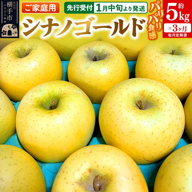 【先行受付】1月中旬より発送 《定期便3ヶ月》パリパリ食感シナノゴールド ご家庭用 約5kg（14〜23玉前後）×3回 計15kg 3か月 3ヵ月 3カ月 3ケ月