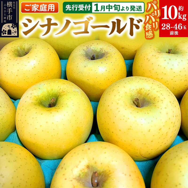 【先行受付】1月中旬より発送 パリパリ食感シナノゴールド ご家庭用 約10kg（28〜46玉前後）