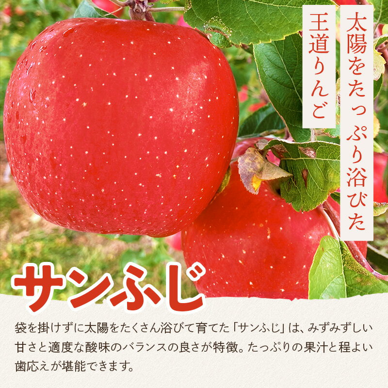 【ふるさと納税】樹上完熟サンふじ ご家庭用 約5kg（13〜23玉前後） サムネイル2