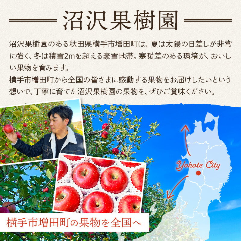 【ふるさと納税】樹上完熟サンふじ ご家庭用 約5kg（13〜23玉前後） サムネイル3