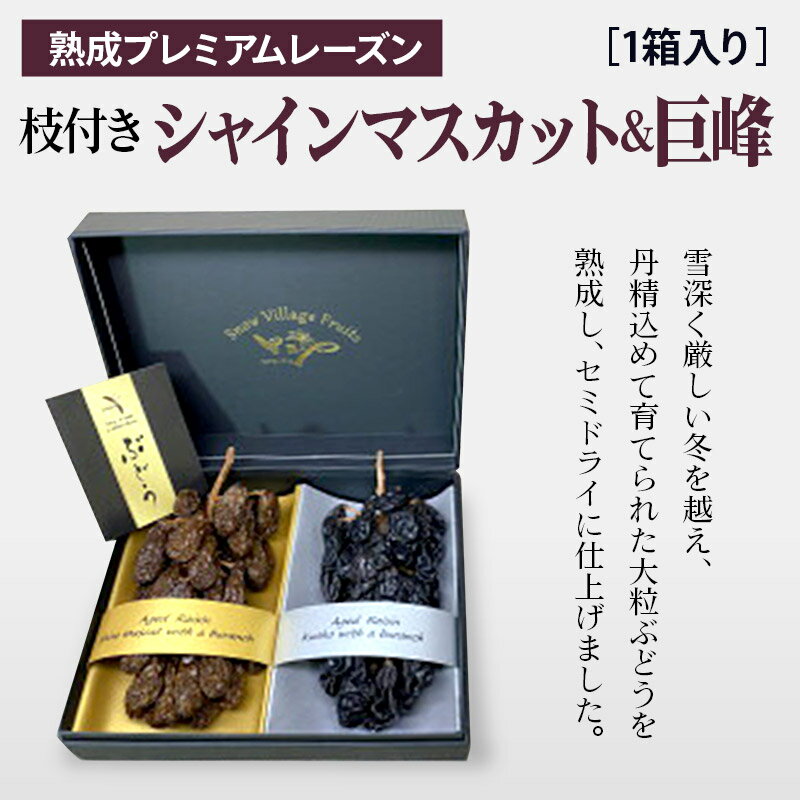 【ふるさと納税】熟成プレミアムレーズン 枝付きプレミアムセット シャインマスカット＆巨峰 サムネイル2