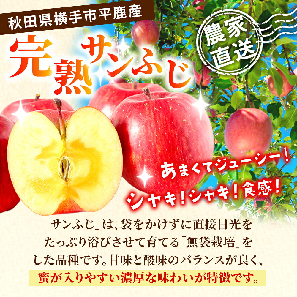 【ふるさと納税】完熟サンふじ秀品 約5kg（16〜20個入）りんご サムネイル2