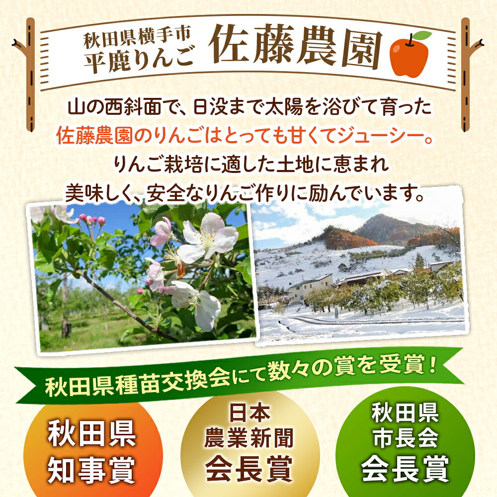 【ふるさと納税】完熟サンふじ秀品 約5kg（16〜20個入）りんご サムネイル3