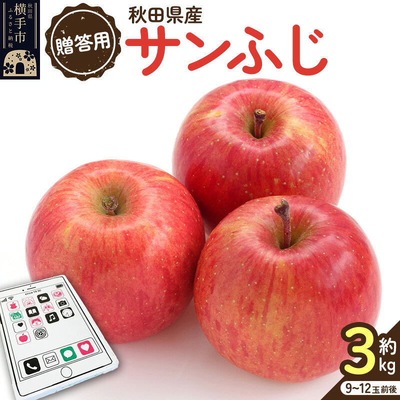 12月上旬より発送【贈答用】秋田県産 サンふじりんご 約3kg(9玉〜12玉前後)