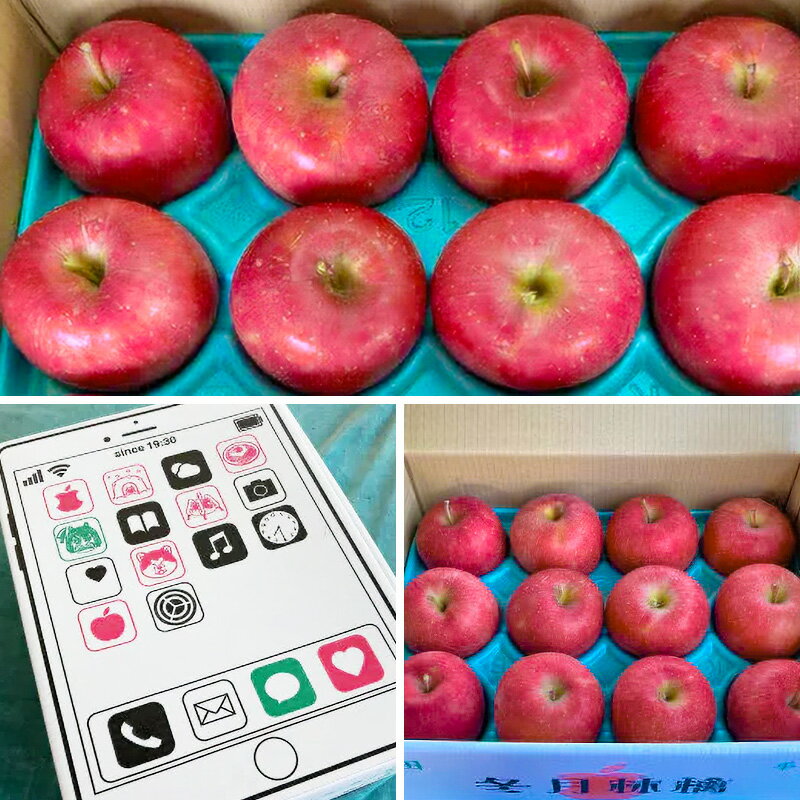 【ふるさと納税】12月上旬より発送【贈答用】秋田県産 サンふじりんご 約3kg(9玉〜12玉前後) サムネイル2