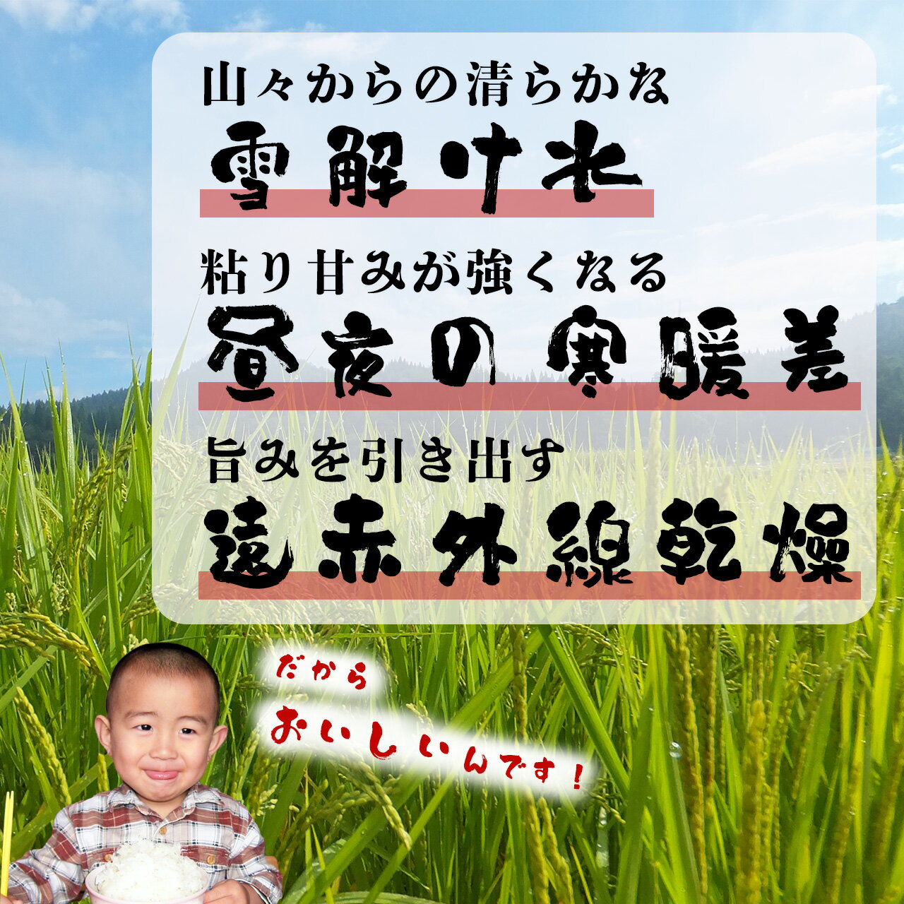 【ふるさと納税】【令和7年産】ファームとのせ「あきたこまち 5kg」 【70P9016】 白米 精米 秋田県産 粘り 弾力性 国産 旨み 香り 栄養 お取り寄せ のし対応可能 食品 おにぎり お弁当 東北 秋田県 大館市 ファームとのせ 送料無料 - 画像2