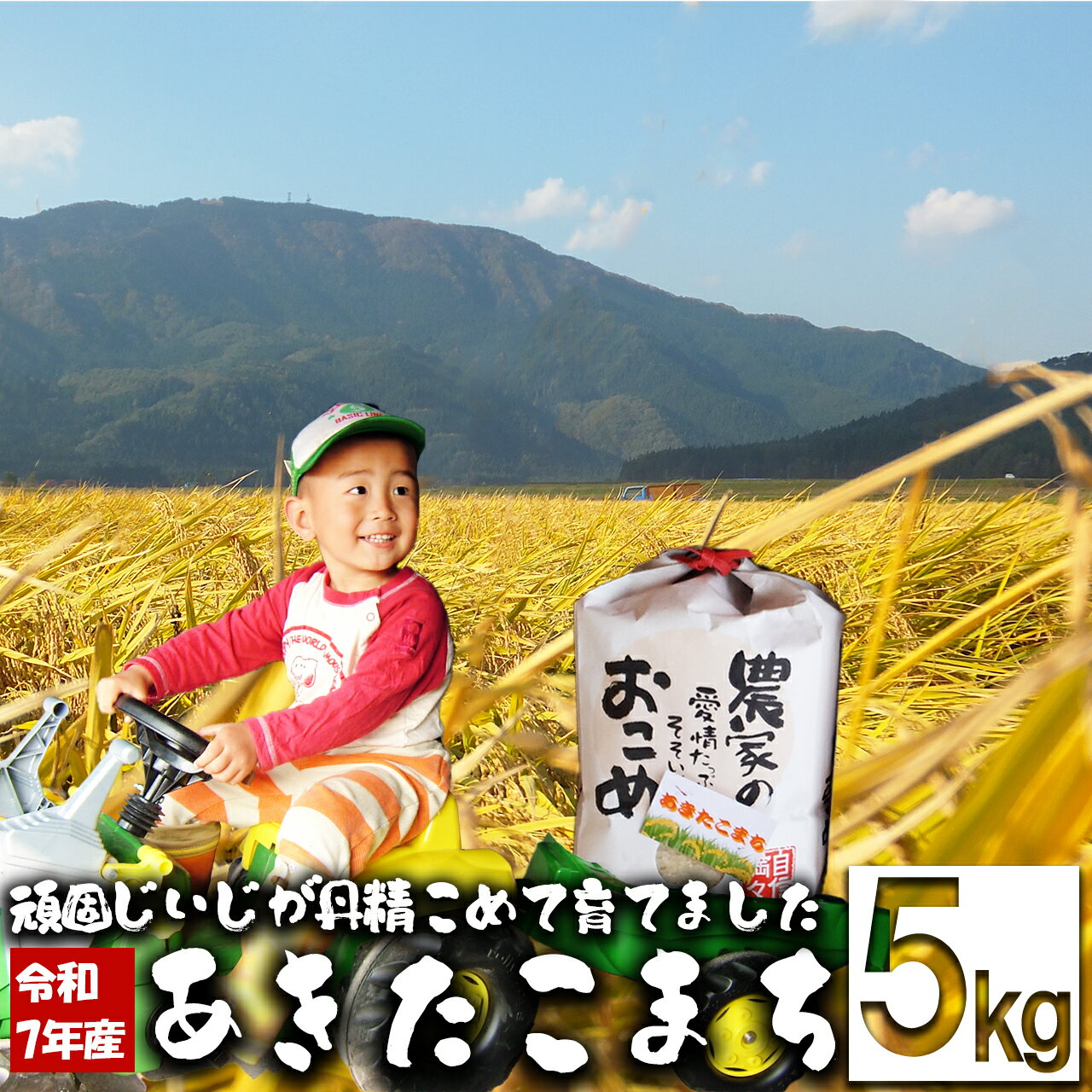 【令和7年産】ファームとのせ「あきたこまち 5kg」 【70P9016】 白米 精米 秋田県産 粘り 弾力性 国産 旨み 香り 栄養 お取り寄せ のし対応可能 食品 おにぎり お弁当 東北 秋田県 大館市 ファームとのせ 送料無料