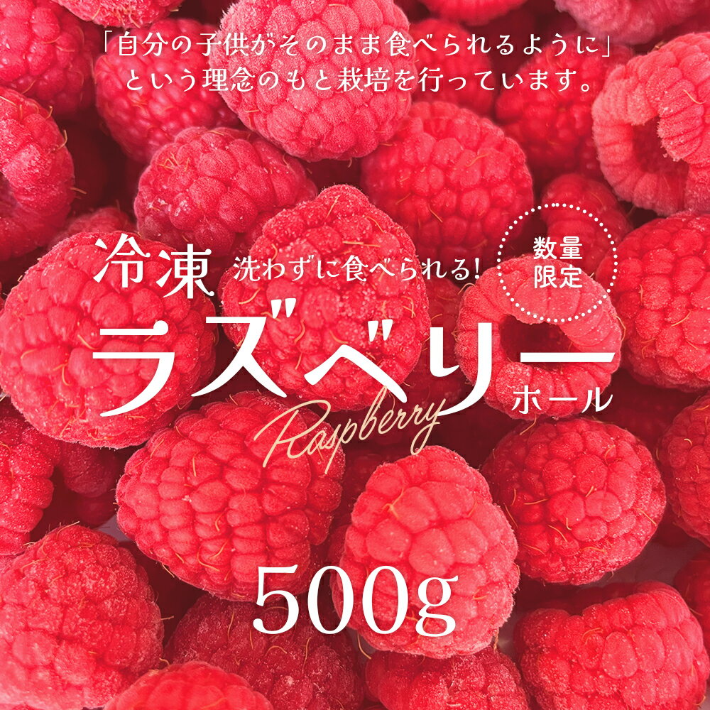 【ふるさと納税】冷凍ラズベリー（ホール）500g　【85P3402】 国産ラズベリー ベリー 冷凍 産直 産地直送 数量限定 期間限定 スムージー ジャム ヨーグルト 果実 果物 大館市 送料無料 サムネイル2