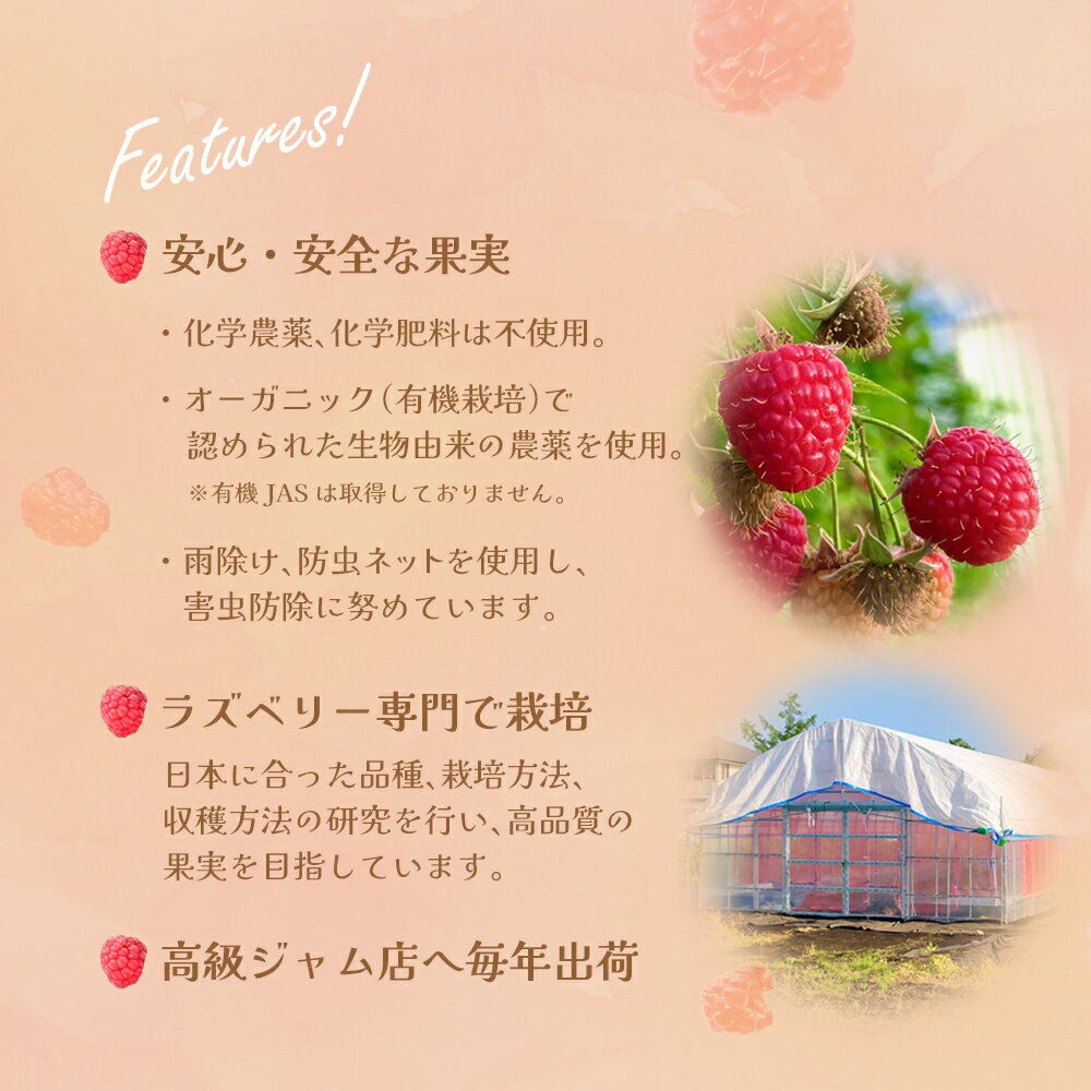 【ふるさと納税】冷凍ラズベリー（ホール）500g　【85P3402】 国産ラズベリー ベリー 冷凍 産直 産地直送 数量限定 期間限定 スムージー ジャム ヨーグルト 果実 果物 大館市 送料無料 サムネイル3