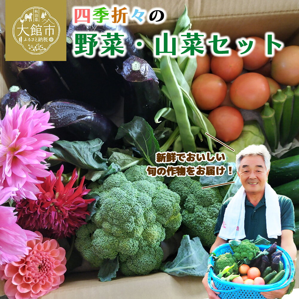 四季折々の野菜・山菜セット（5品目ほど）【45P3203】