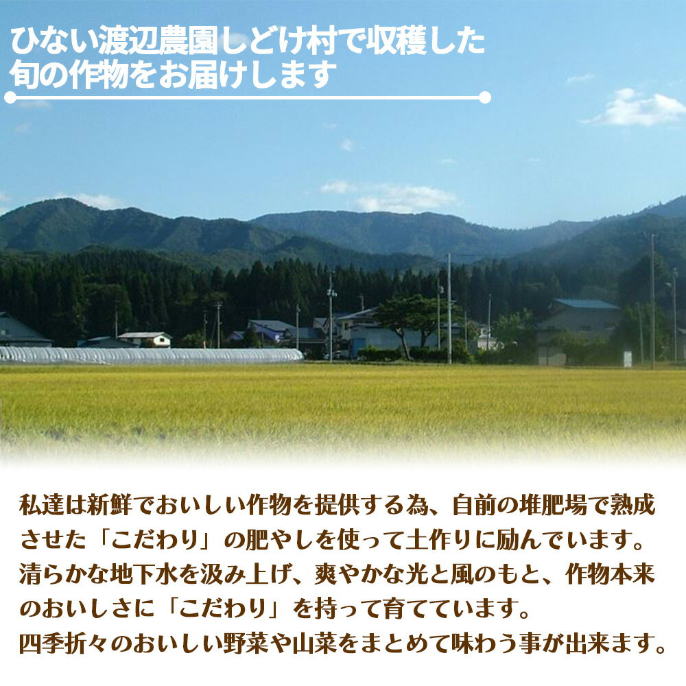 【ふるさと納税】四季折々の野菜・山菜セット（5品目ほど）【45P3203】 - 画像2