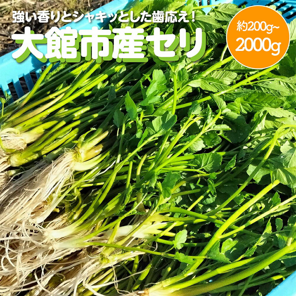【選べる内容量！】セリ 強い香りとシャキッとした歯応え 約200g~2000g 【60P3217・120P3201・180P3202・300P3201・600P3201】