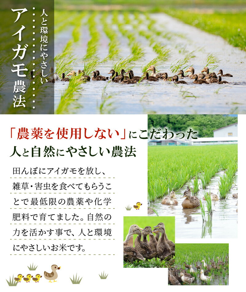 【ふるさと納税】期間限定！【訳あり】【令和7年産】秋田県特別栽培米あきたこまち「あいがも米」5kg×1袋 【2025年産 白米 精米 東北産 粘り 弾力性 節約 手間なし 国産 旨み 香り 栄養 のし対応可能 おにぎり お弁当 真正ファーム 送料無料】 75P9018 - 画像2