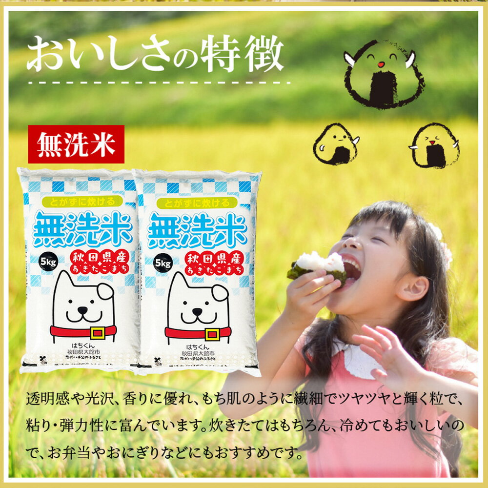【ふるさと納税】【令和7年産先行受付】秋田県産「あきたこまち（無洗米）」 10kg（5kg×2袋）【2025年産 白米 精米 東北産 粘り 弾力性 節約 手間なし 国産 旨み 香り 栄養 のし対応可能 おにぎり お弁当 真正ファーム 送料無料】145P9201 サムネイル2
