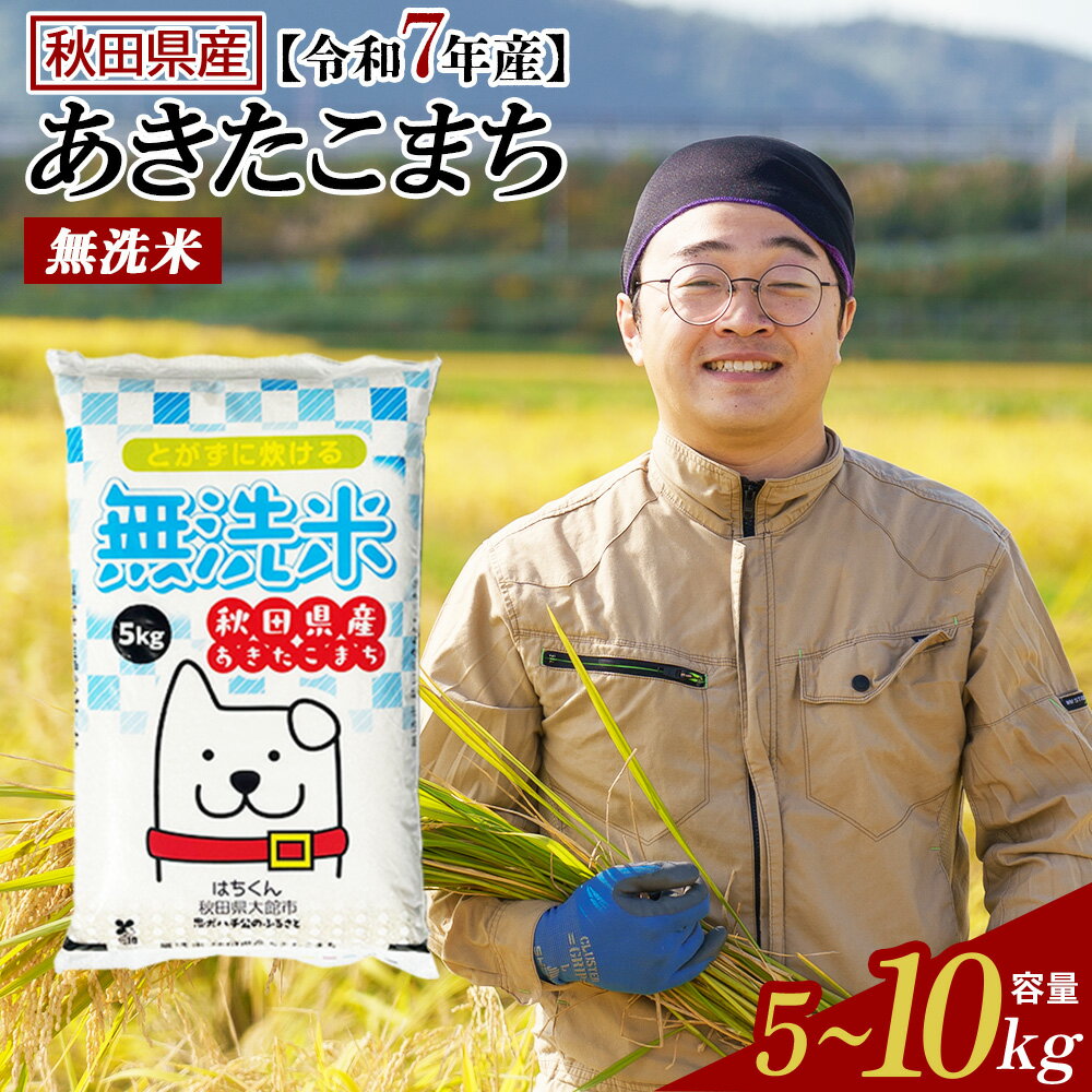 【令和7年産】【選べる容量・お届け回数】秋田県産「あきたこまち」無洗米or普通米 5kg・10kg(5kg×2袋) 1・3回 【2025年産 白米 精米 国産 旨み 香り 栄養 のし対応可能 おにぎり お弁当 真正ファーム 送料無料】