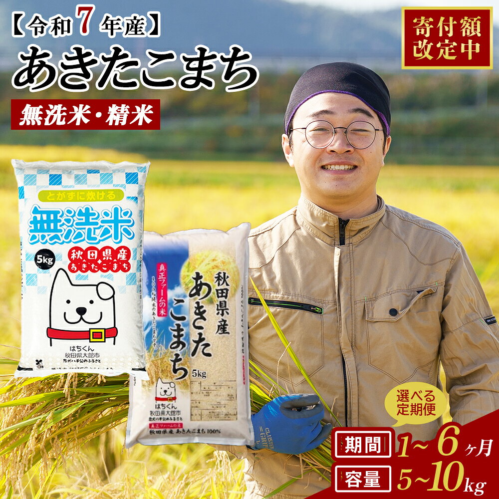 期間限定！【家計応援】【令和7年産】【選べる容量・お届け回数】秋田県産「あきたこまち」無洗米or普通米 5kg・10kg(5kg×2袋) 1・3・6回 【2025年産 白米 精米 国産 旨み 香り 栄養 のし対応可能 おにぎり お弁当 真正ファーム 送料無料】