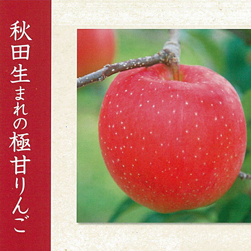 【ふるさと納税】【数量限定・期間限定】陽気な母さん　秋田限定りんご「秋田紅あかり」　5kg　【105P3401】 リンゴ 林檎 詰合せ セット 季節 数量限定 大館市 秋田県 陽気な母のさん店 送料無料 ギフト フルーツ 果物 サムネイル2