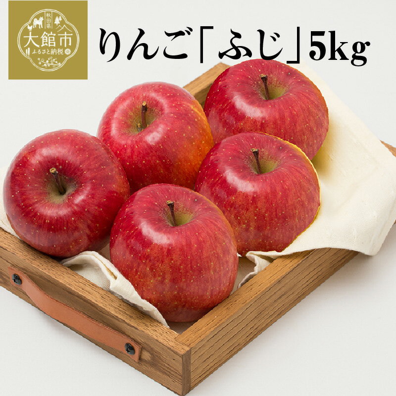 【数量限定・期間限定】陽気な母さんのりんご「ふじ」　5kg　【75P3408】 リンゴ 林檎 詰合せ セット 季節 数量限定 大館市 秋田県 陽気な母さんの店 送料無料 ギフト フルーツ 果物 ふじ