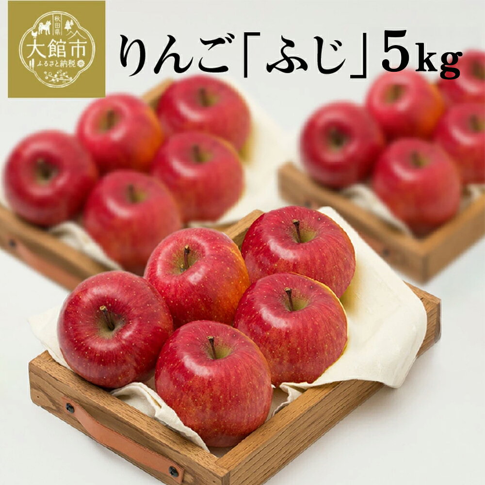 【数量限定・期間限定】陽気な母さんの【訳あり】りんご「ふじ」　5kg　【60P3404】 リンゴ 林檎 訳アリ 訳あり商品 詰合せ セット 季節 数量限定 大館市 秋田県 陽気な母さんの店 送料無料 ギフト フルーツ 果物 ふじ