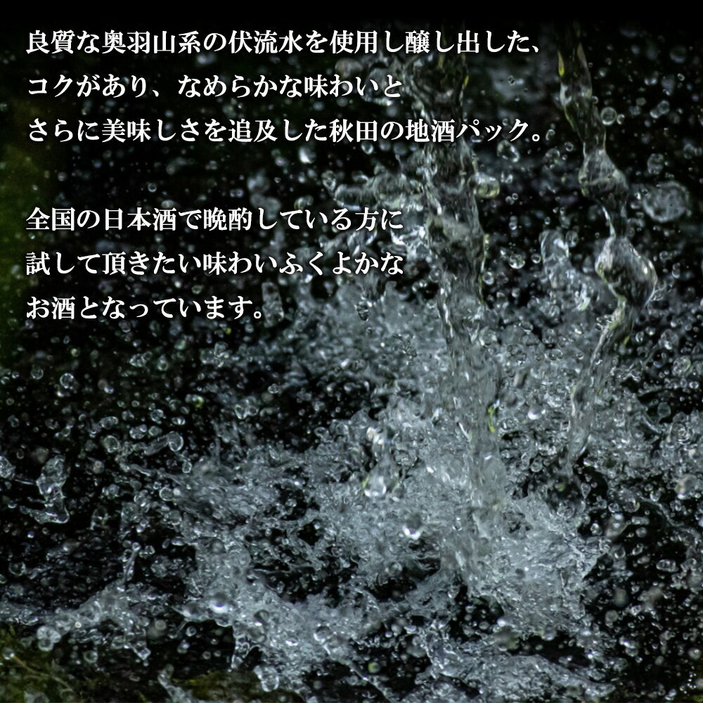 【ふるさと納税】北鹿 開運パック 2000ml×6本 合計 12L 紙パック 日本酒 酒 地酒 ギフト お歳暮 父の日 母の日 秋田県 大館市 筒井商店 115P4003 サムネイル3